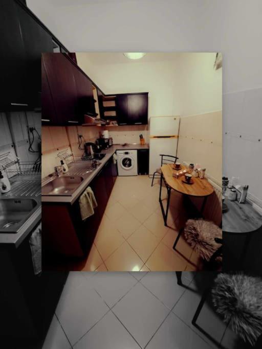 Sofia'S Home Comfy Studio In The Old Town Brașov Exterior foto